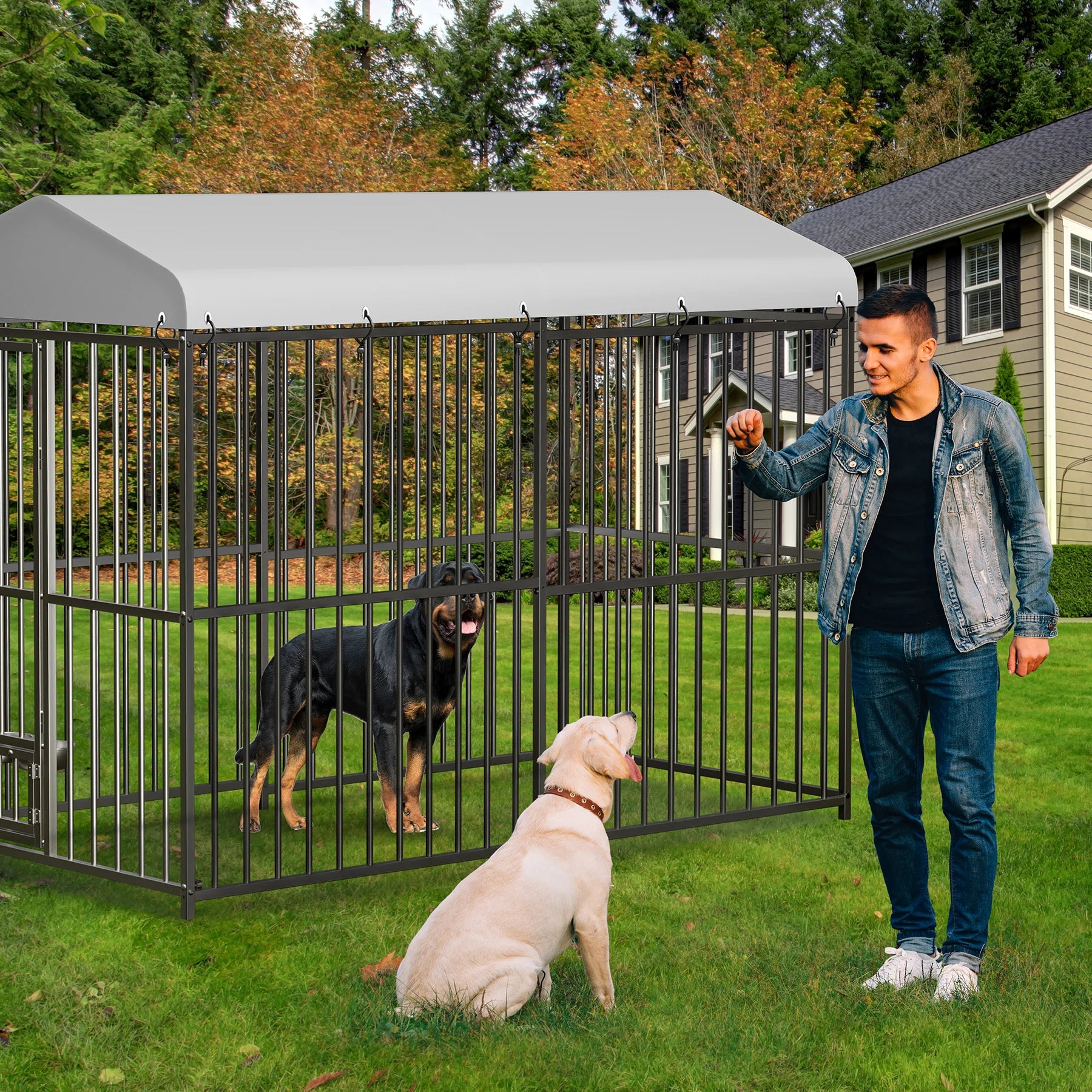 Heavy Duty Outdoor Dog Kennel