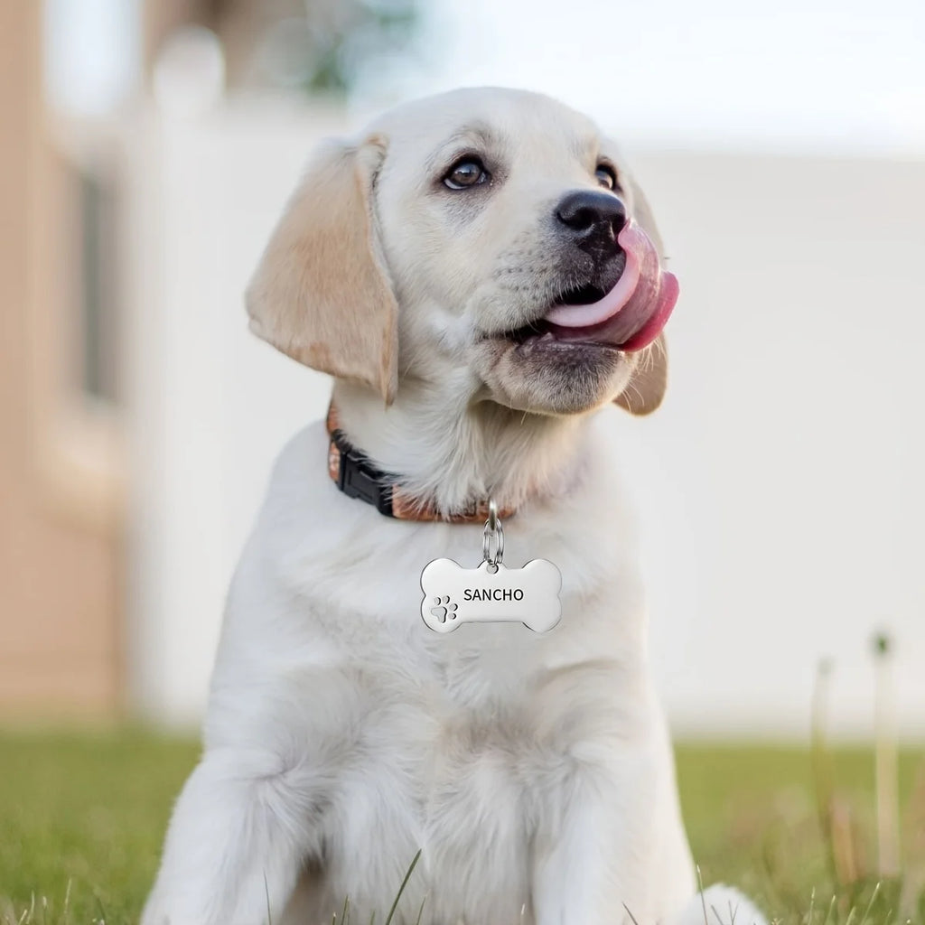 Personalized Engraved Dog Tag Bone-Shaped Pet Identification Accessory