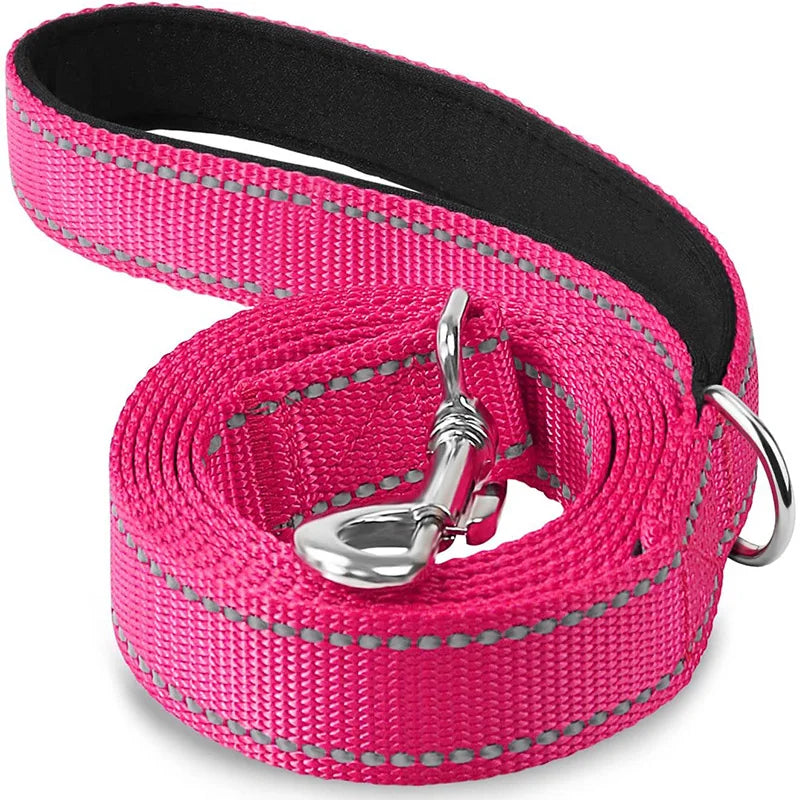 Night Reflection Dog Leash