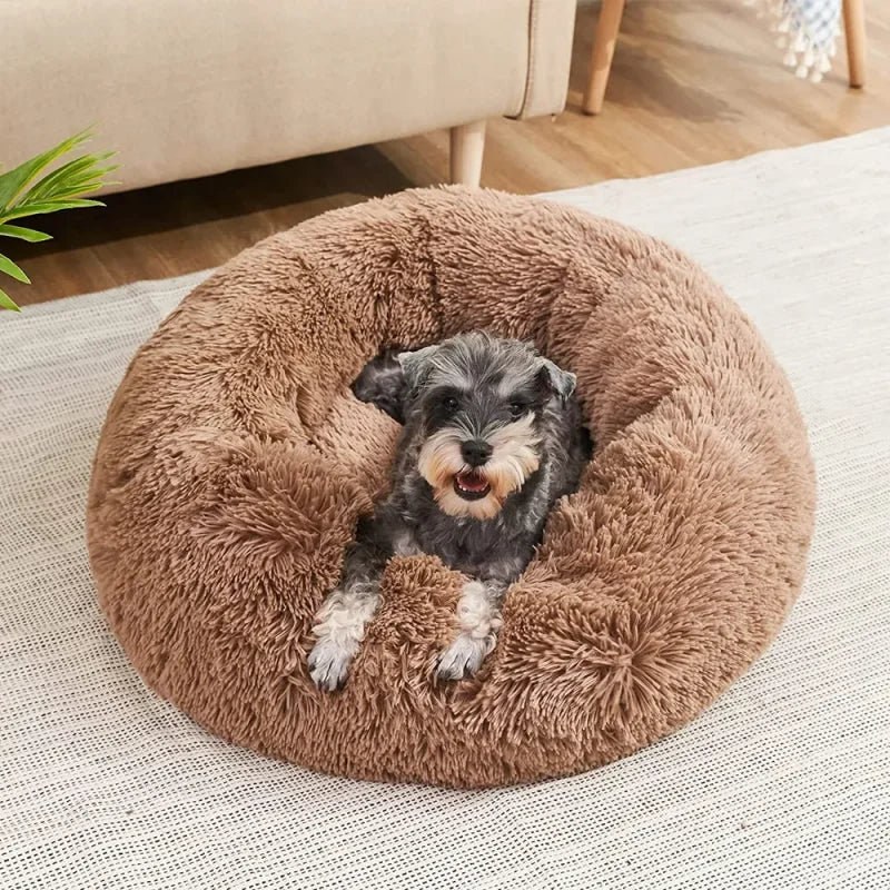 Pet Calm Donut  shaped Bed