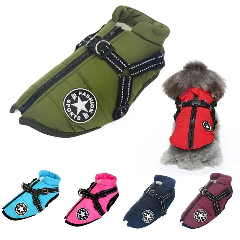 Large Dog Jacket With Harness