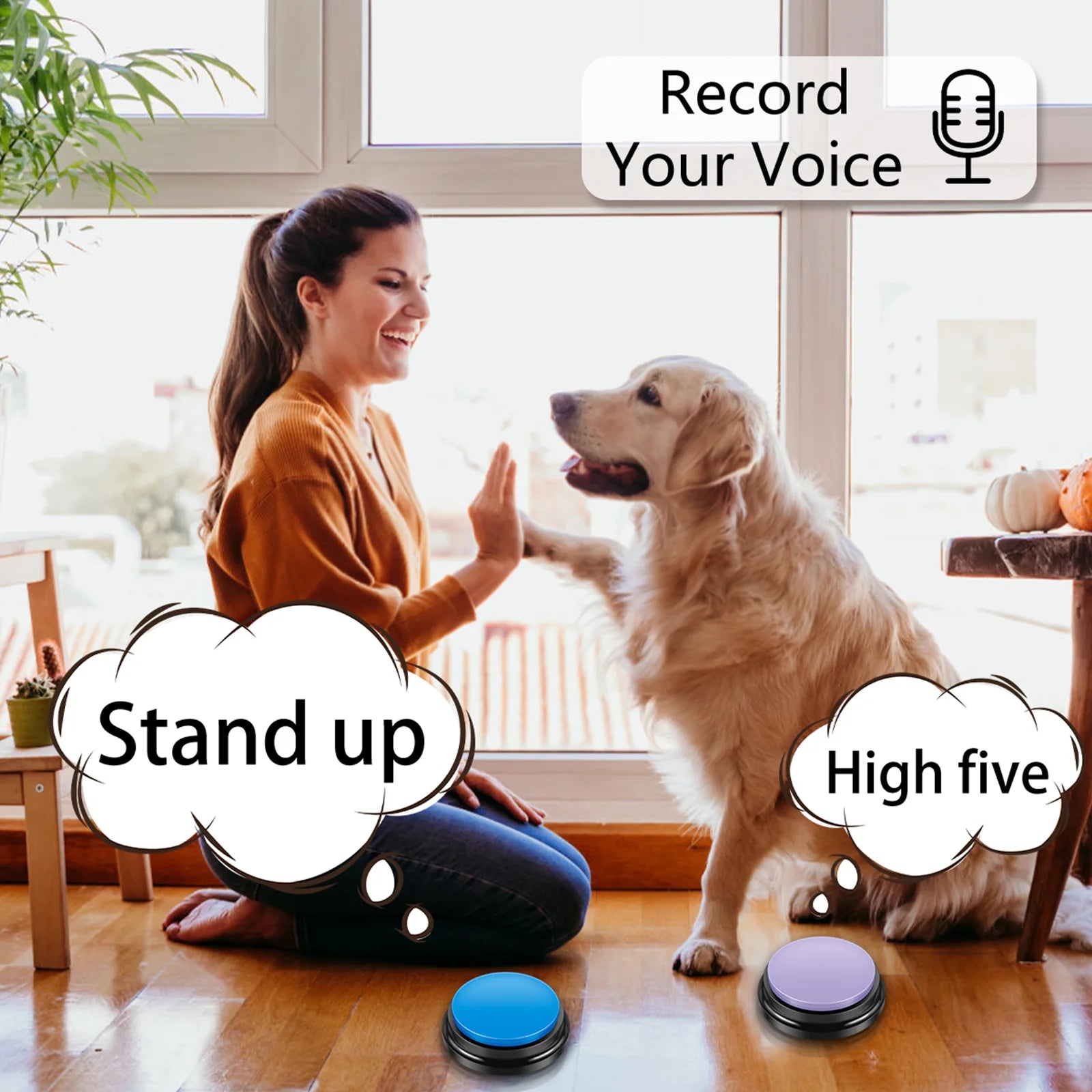 Voice Recording Button Pet Toys