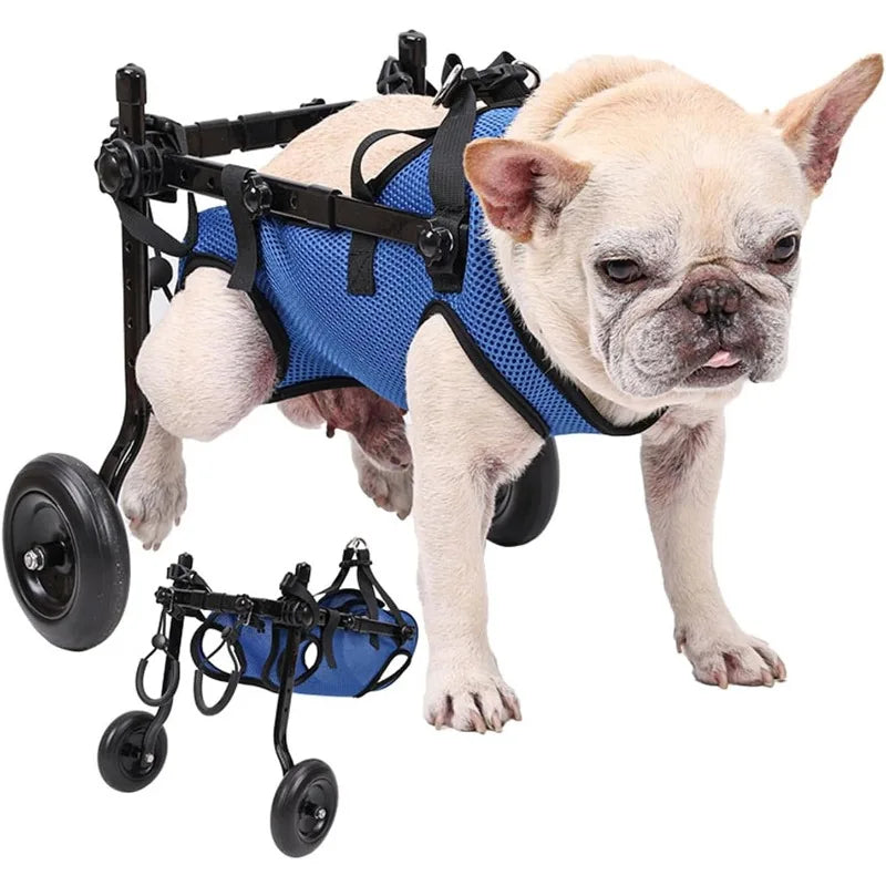 Disabled Dog Wheelchair Cart Adjustable Pet Mobility Aids for Cat Dog Rehabilitation Walking Aid Anti Slip Wheels Lightweight