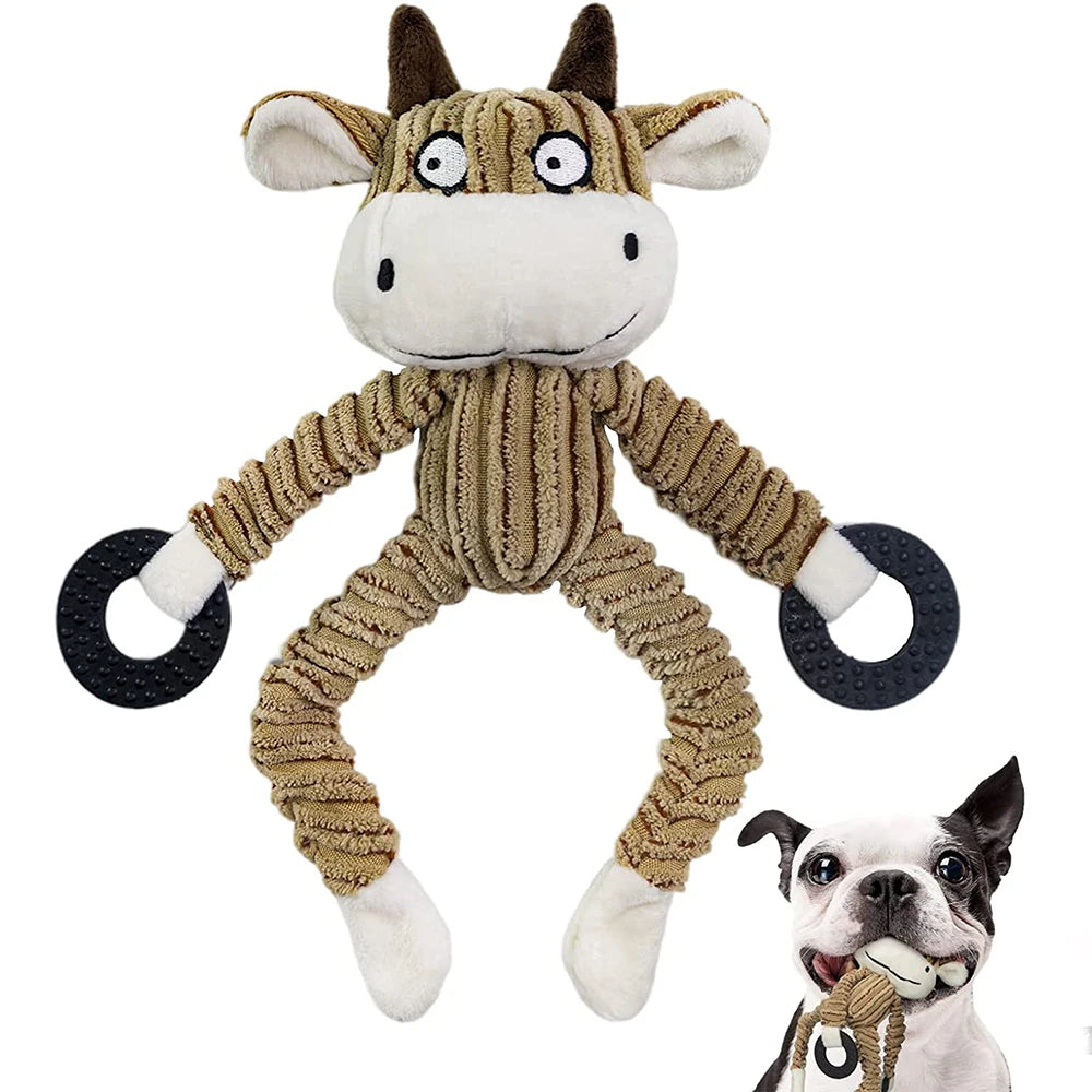 Squeaky Chew Toys