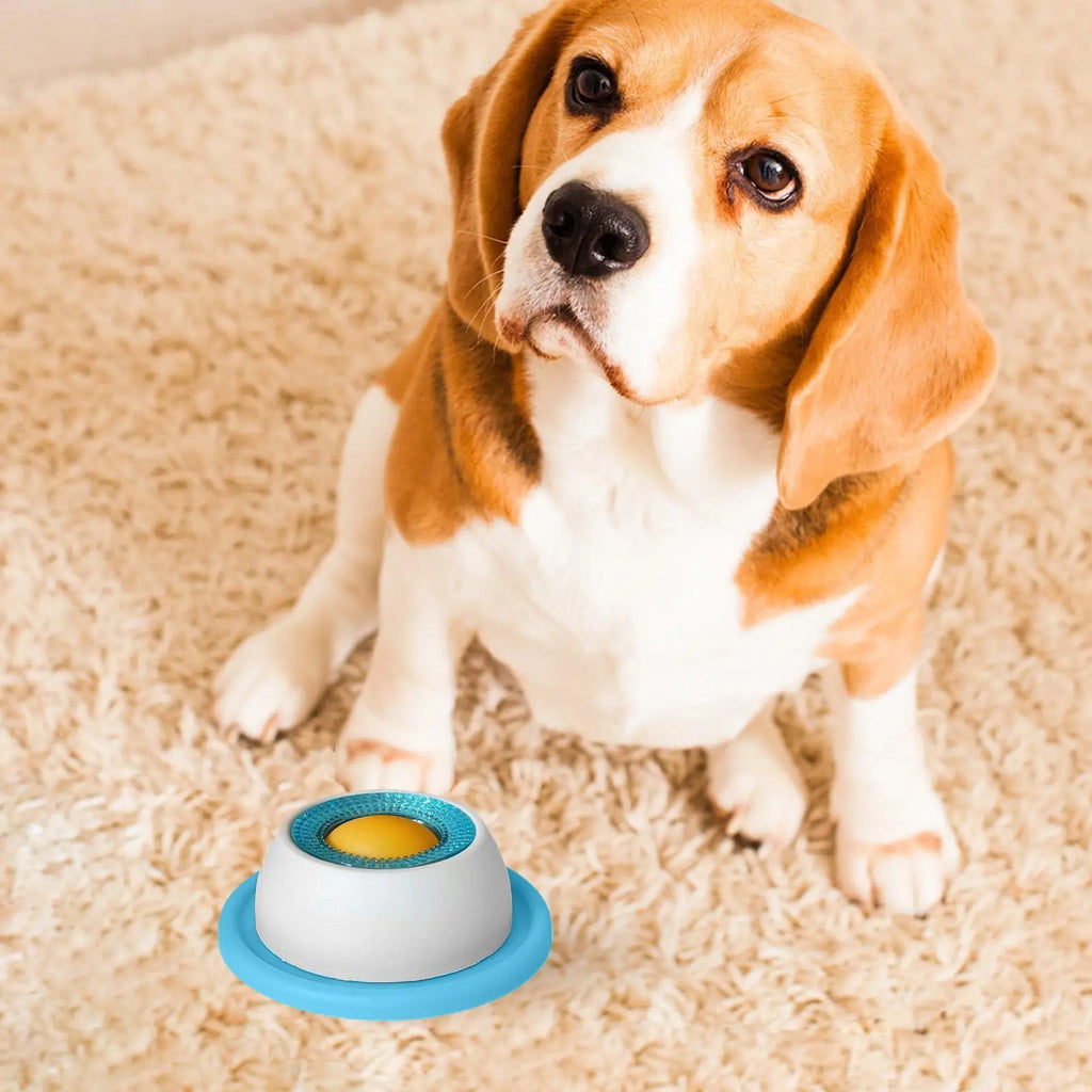 Pet Feeding Treat  Puzzle