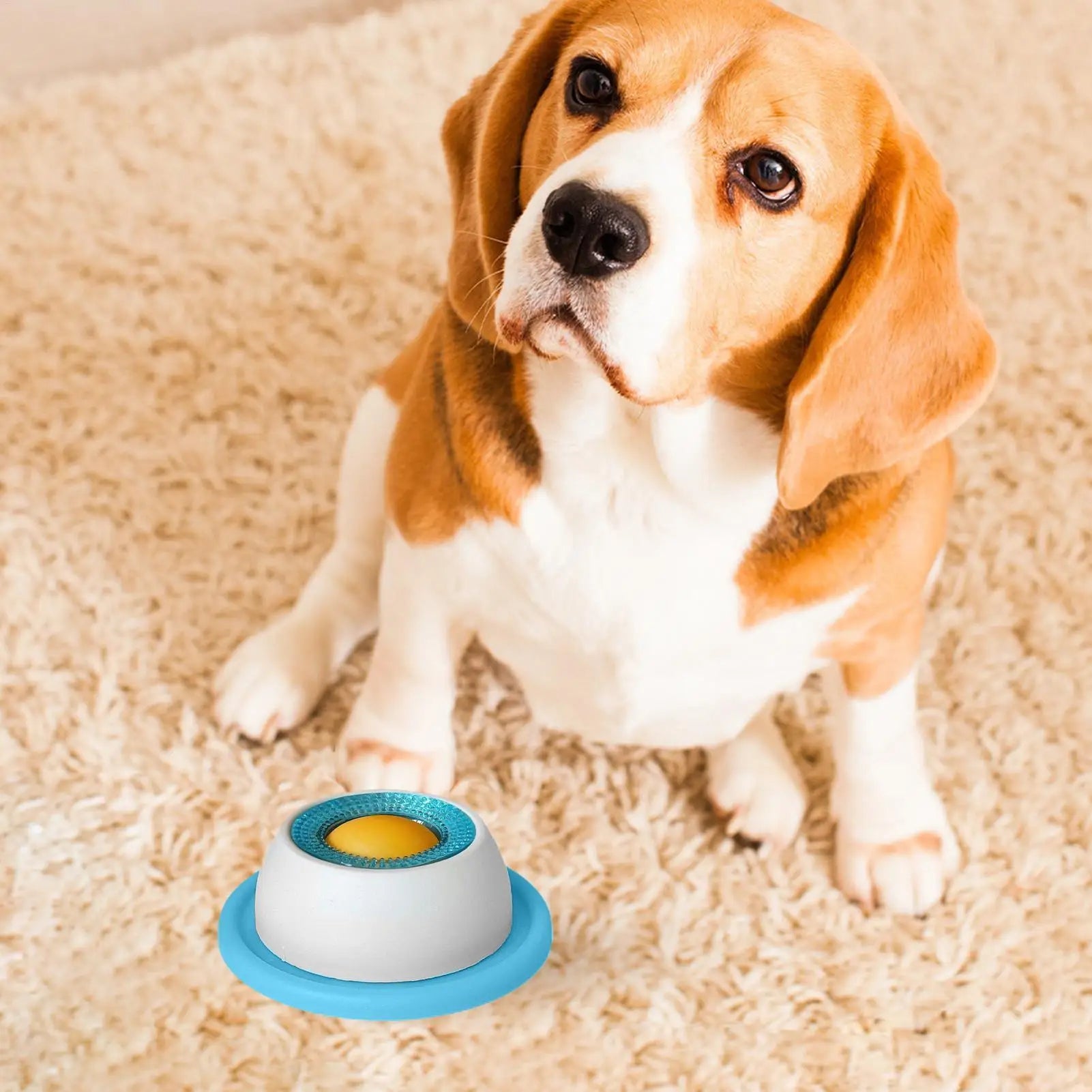 Pet Feeding Treat  Puzzle