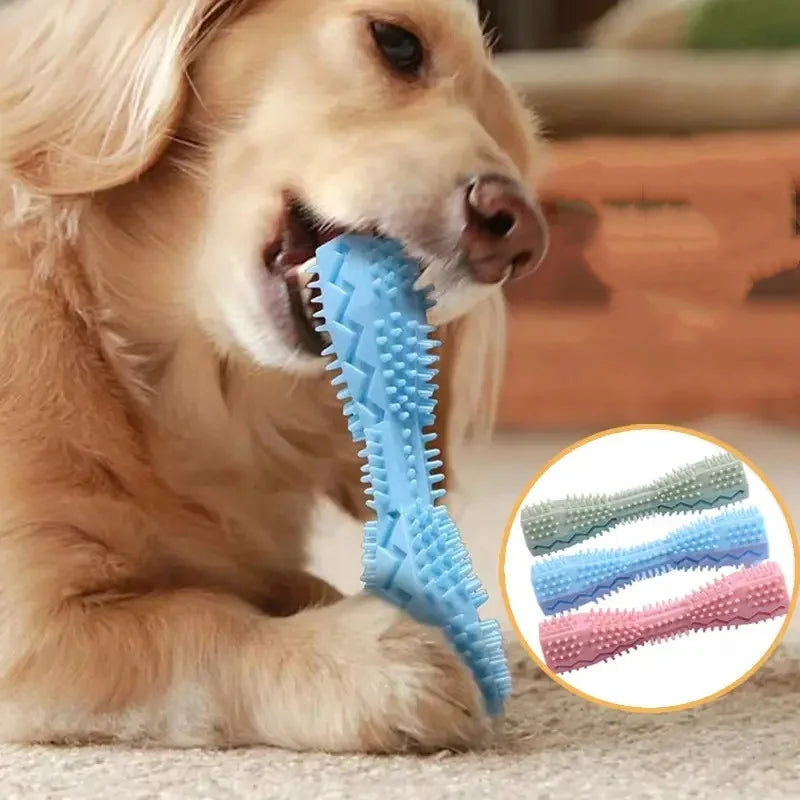 Dog Chew Toy Squeaky Bones