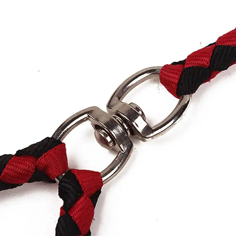 Dog Double Leash Elastic Extended