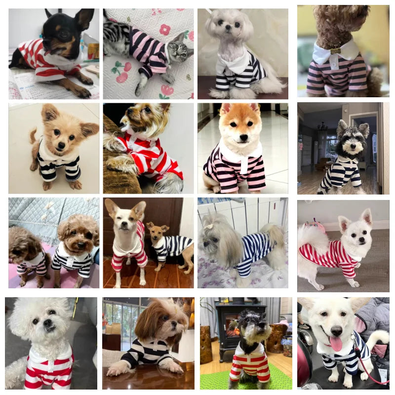 Polo Cooling Vest Shirt for  Small and Medium Dogs