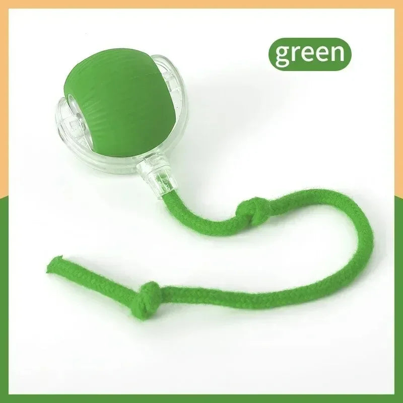 Pet Interactive Ball Toy