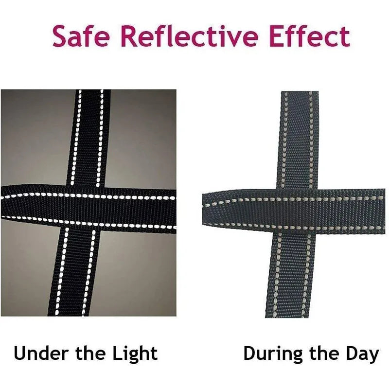 Night Reflection Dog Leash