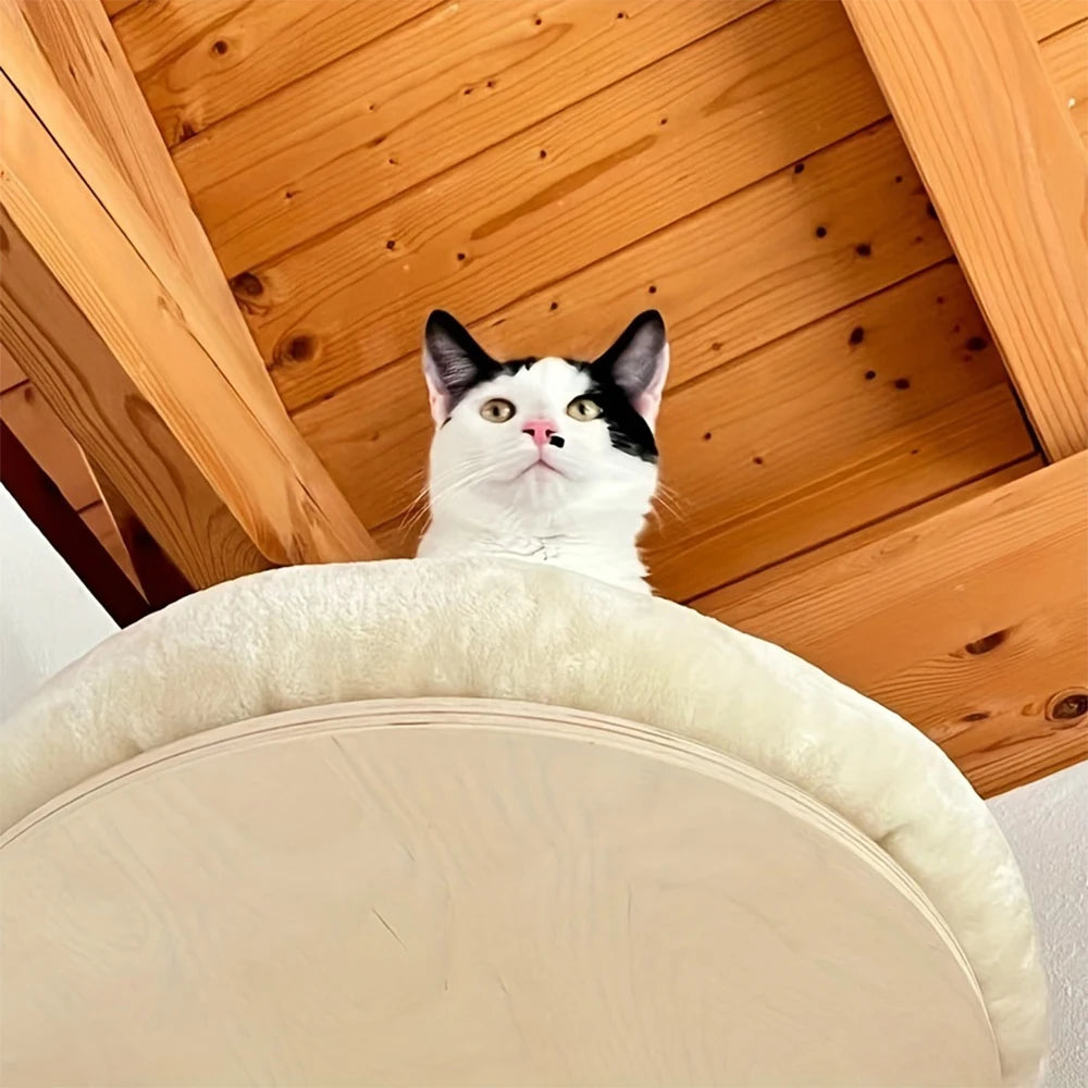 Cat Wall Mounted Hammock with Scratching Post