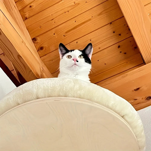 Cat Wall Mounted Hammock with Scratching Post