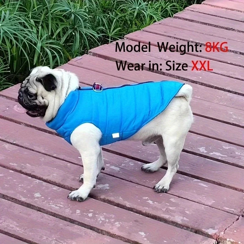 Warm Jackets For Small pets