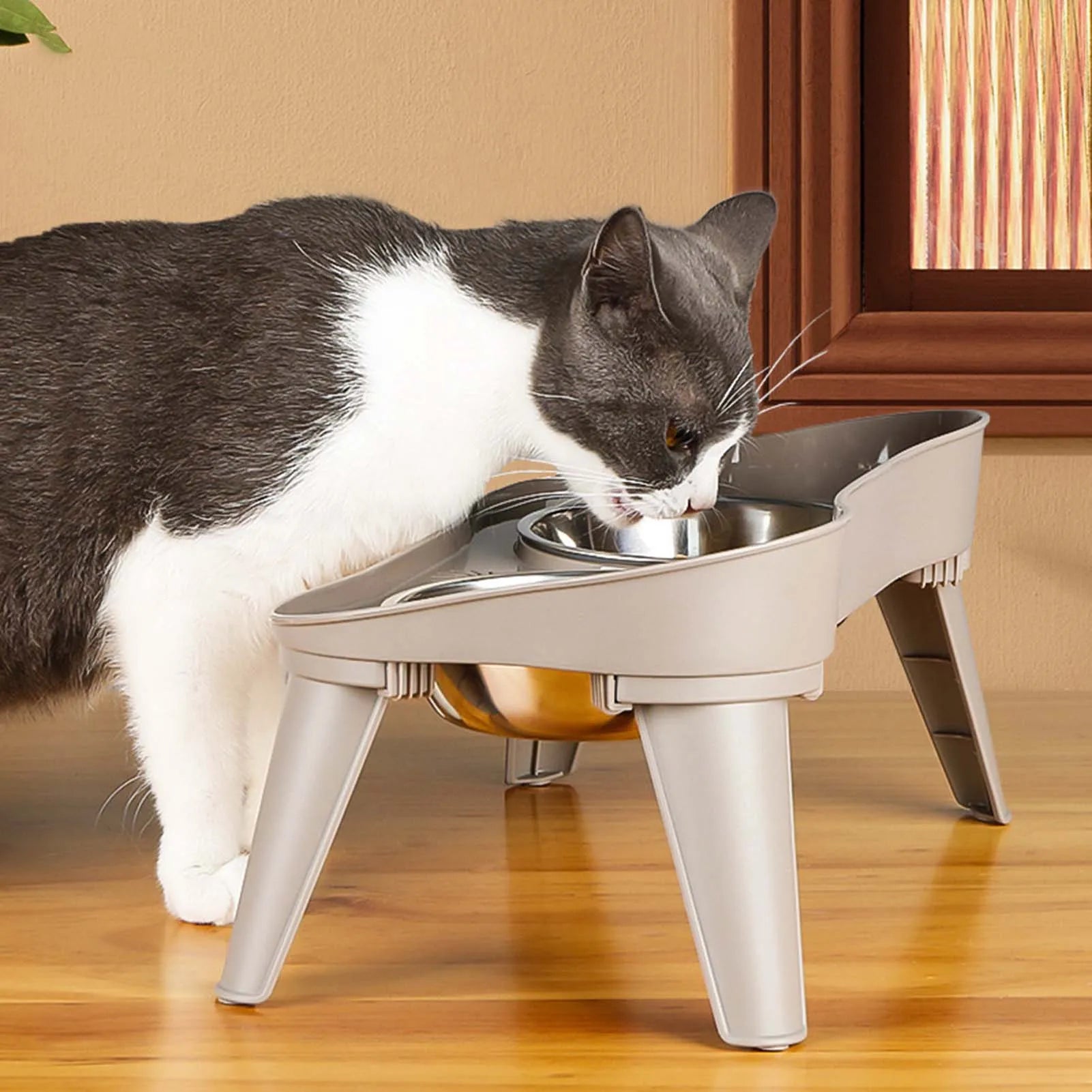 Elevated Dog Feeder Non-Slip
