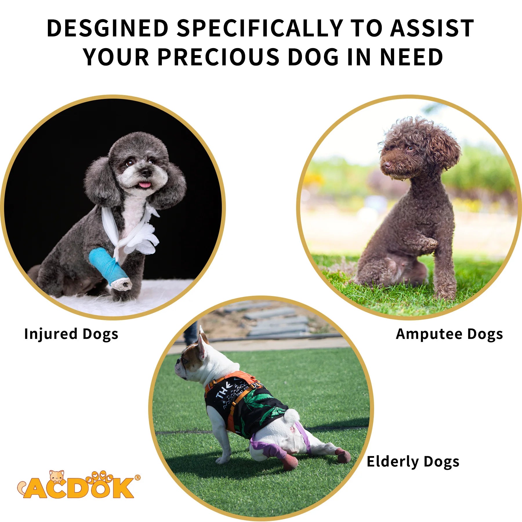 Dog Lift Harness,for Assistance