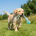 Cotton Rope & Rubber Chew Ball,