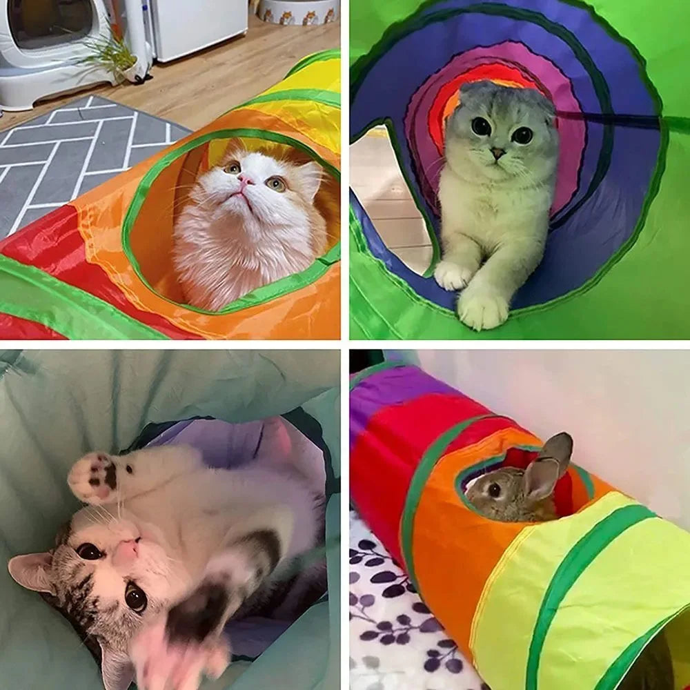 Cat Tunnel fun and to Reduce Anxiety