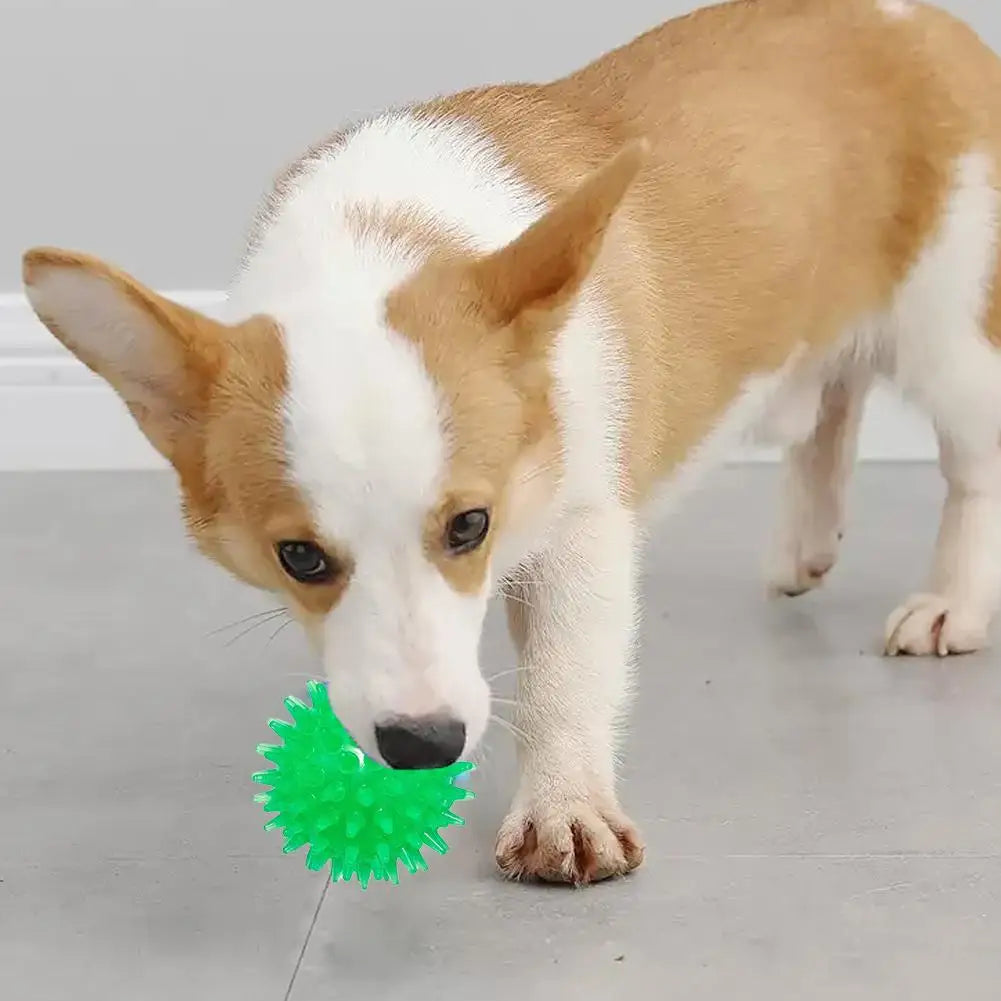 Dog Tooth Cleaning Ball