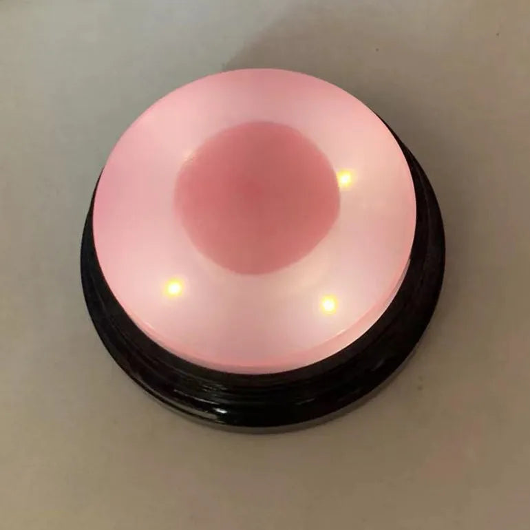 Voice Recording Button Pet  Training