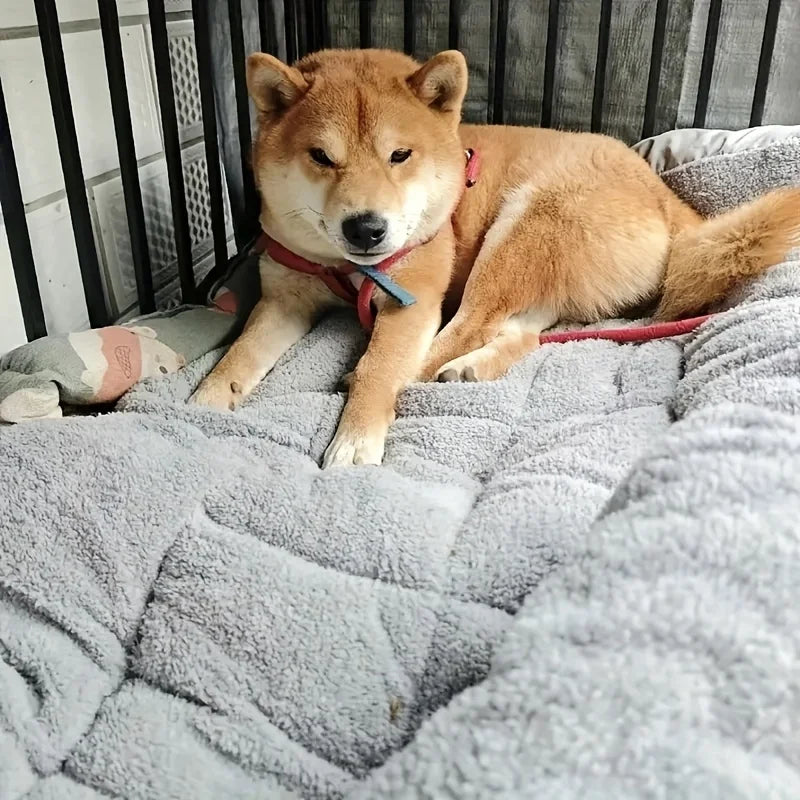 Pet  Bed Sofa