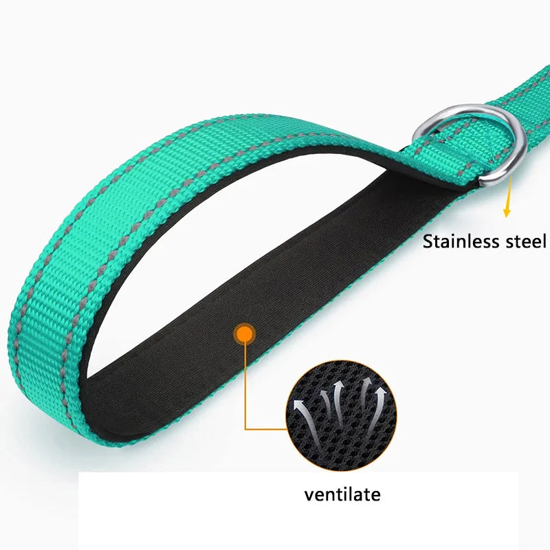 Night Reflection Dog Leash