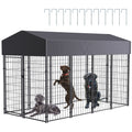 Large Dog Kennel Outdoor