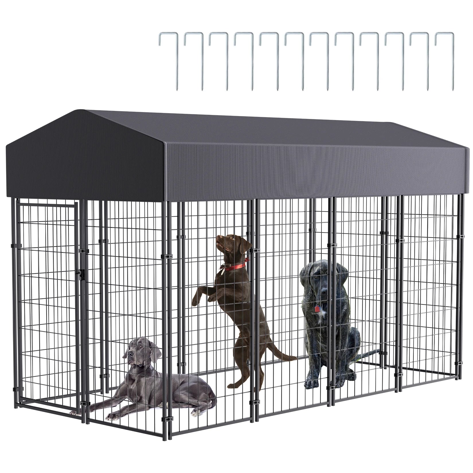 Large Dog Kennel Outdoor