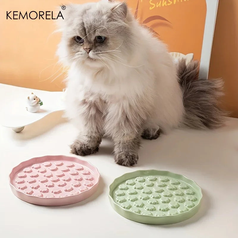 Ceramic Slow Feed pet Bowl -