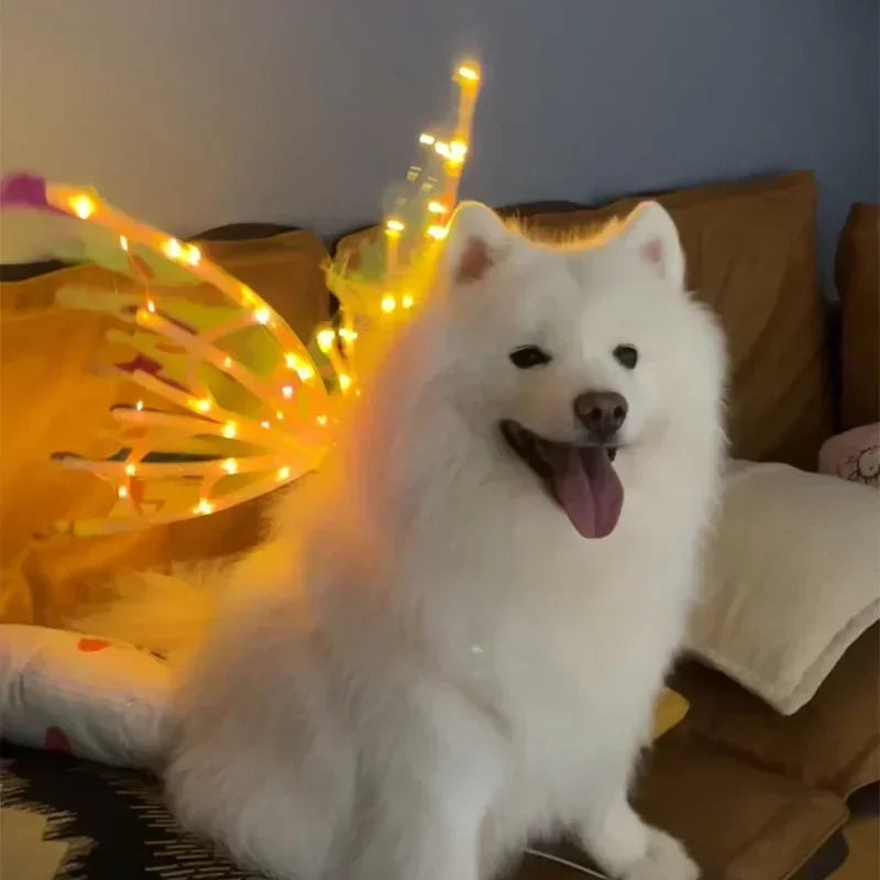 Dog Butterfly Glowing Wings