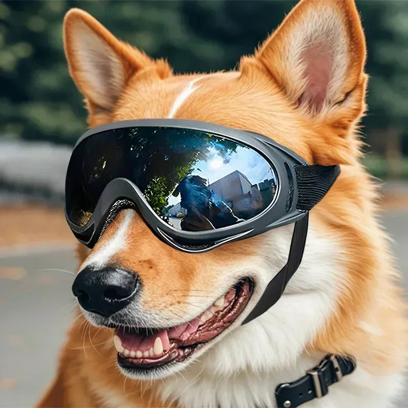 Pet Goggles Anti UV Glare Windproof