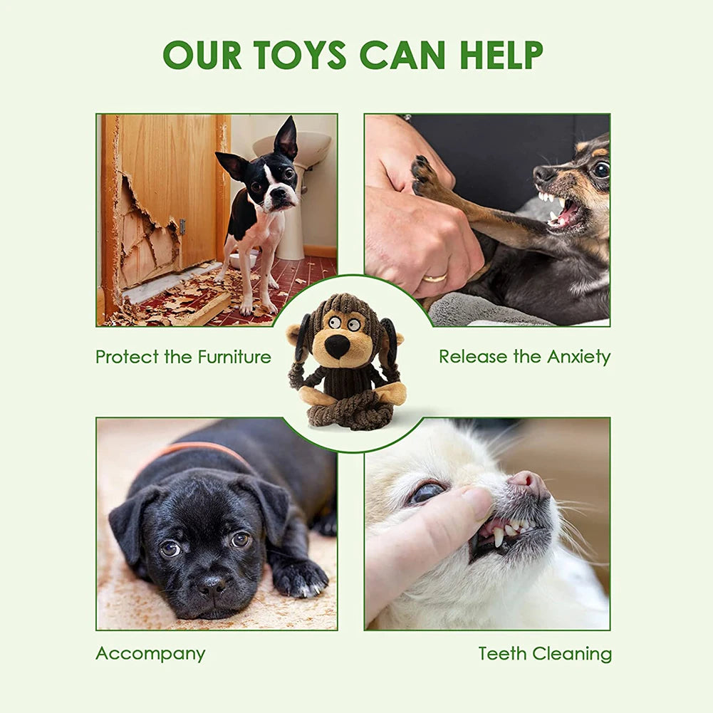 Squeaky Chew Toys