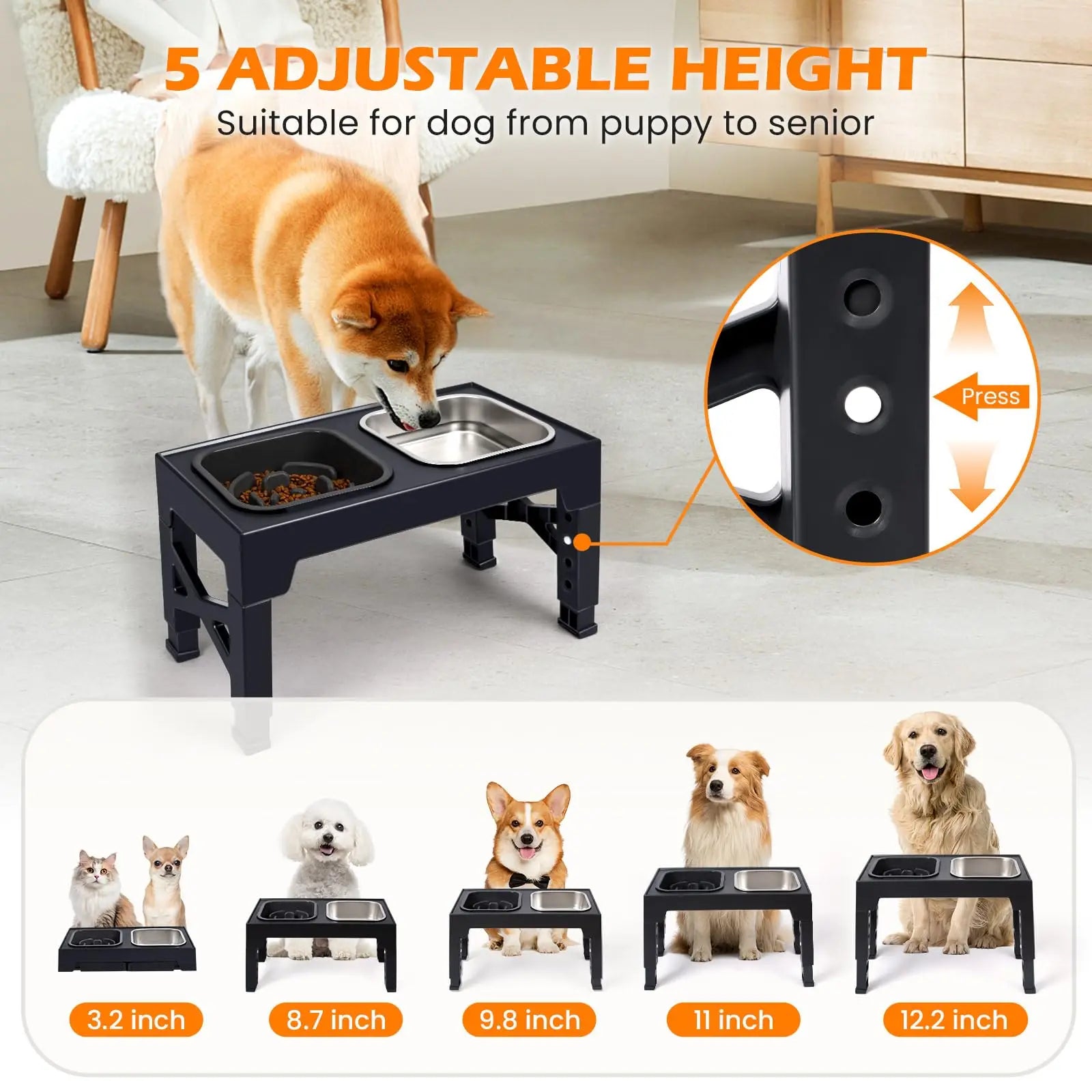 Elevated Slow Feeder Dog Bowls,