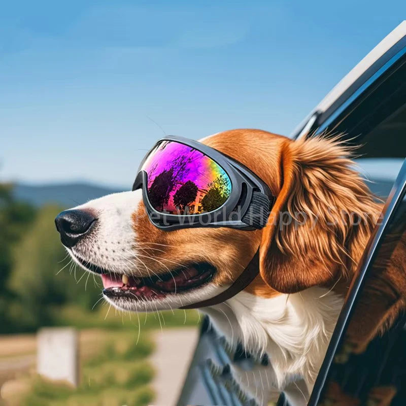 Pet Goggles Outdoor Riding