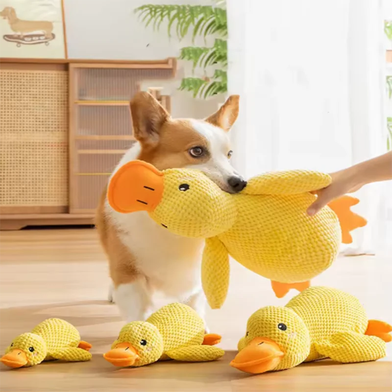 Pet duck toys