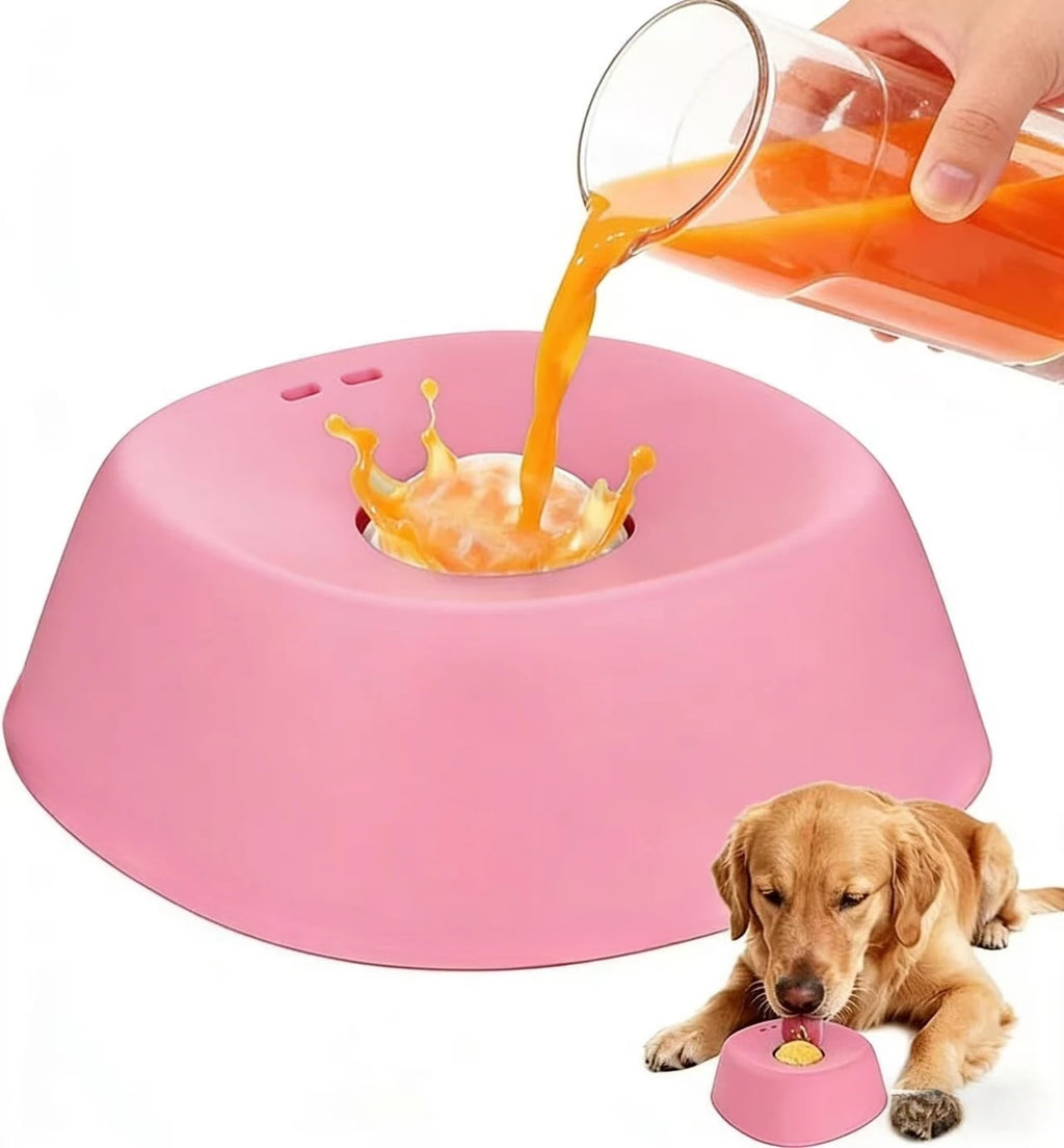 Anti-Choking Slow Feeder Dog Bowl