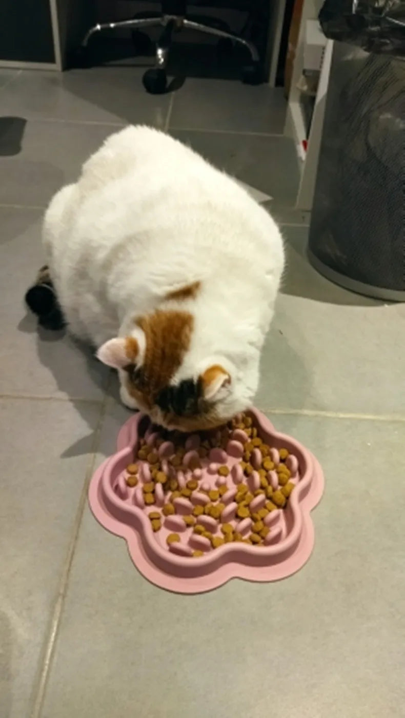 Silicone Pet Licking Pad