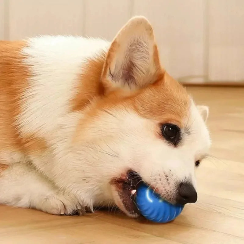 Automatic Dog Toy Rolling Ball