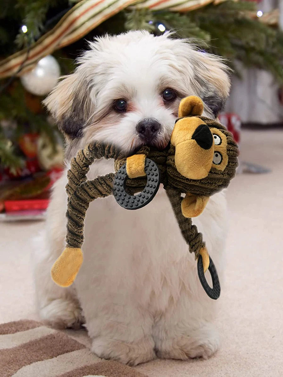Squeaky Chew Toys