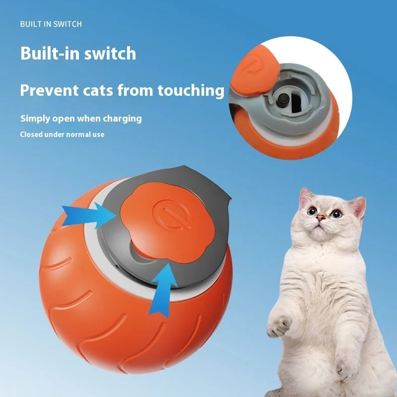 Pet Automatic Rolling Ball