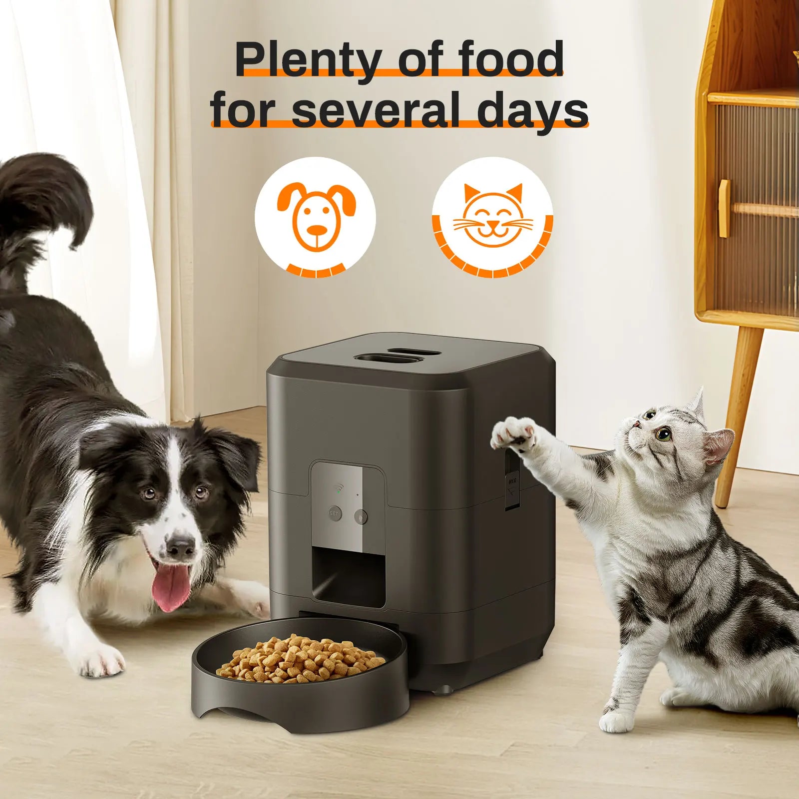 Timed Pet Feeder