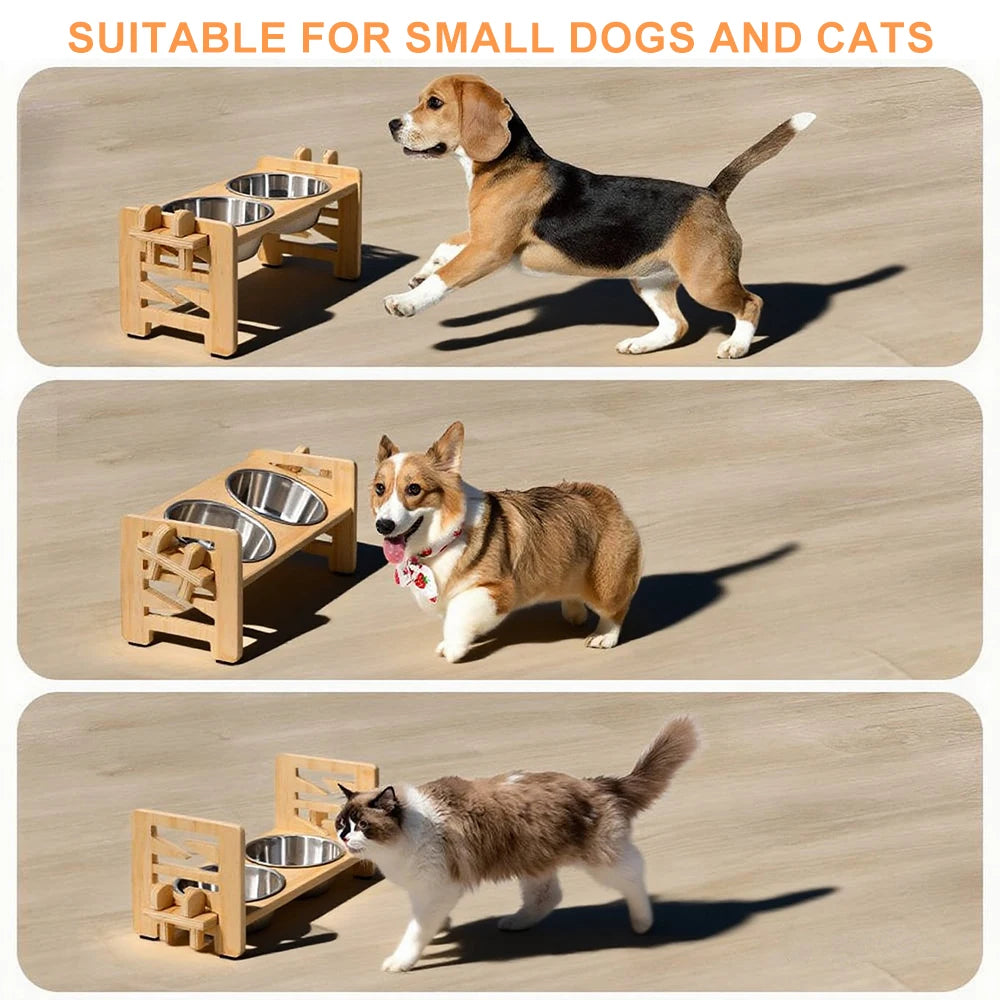 Elevated Pet Dishes Food and Water Feeder