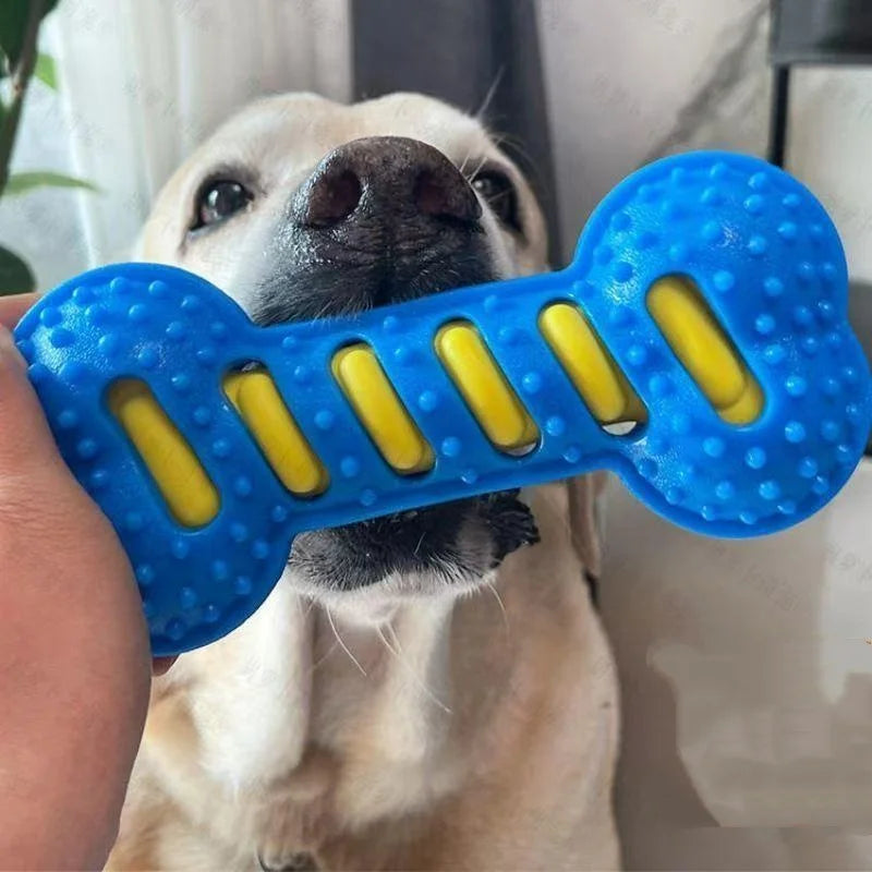 Dog Chew Toy Squeaky Bones