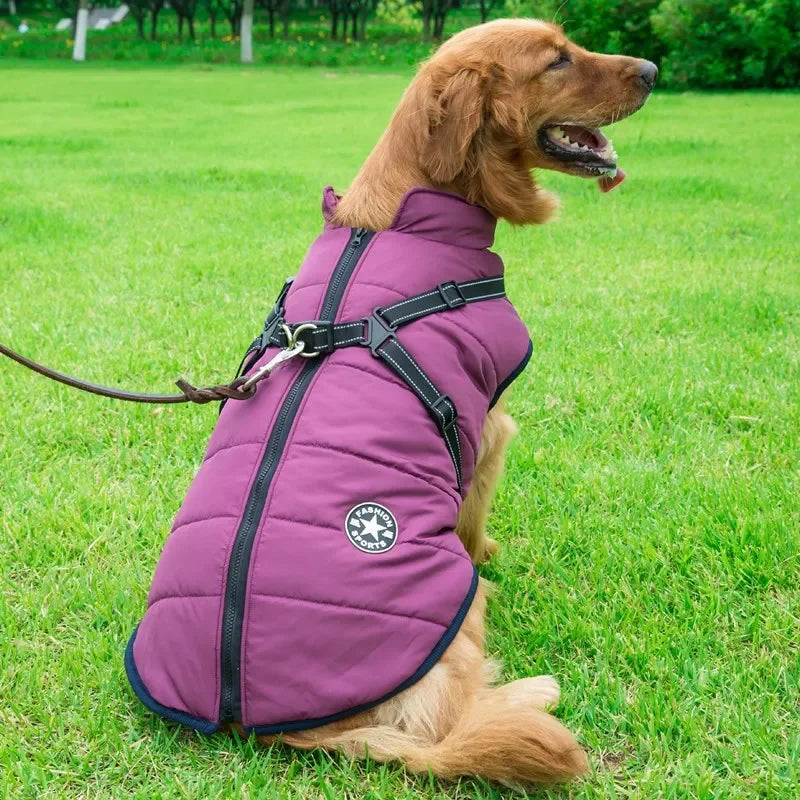 Large Dog Jacket With Harness