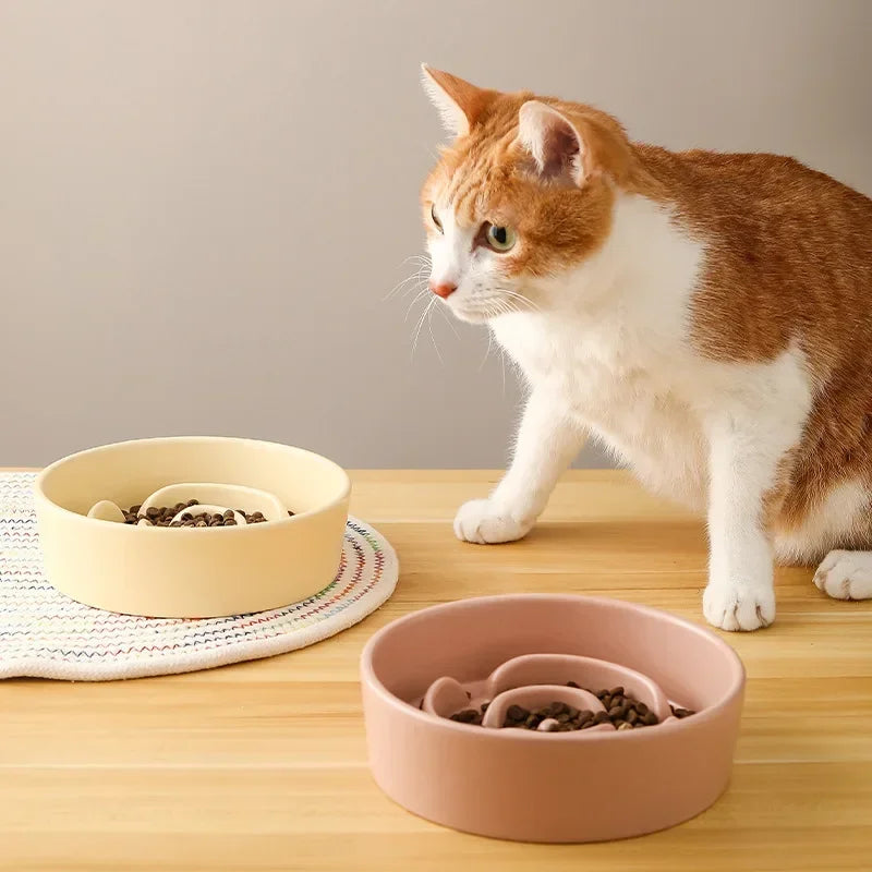 Pet Slow Feeding Anti-Choke Bowl