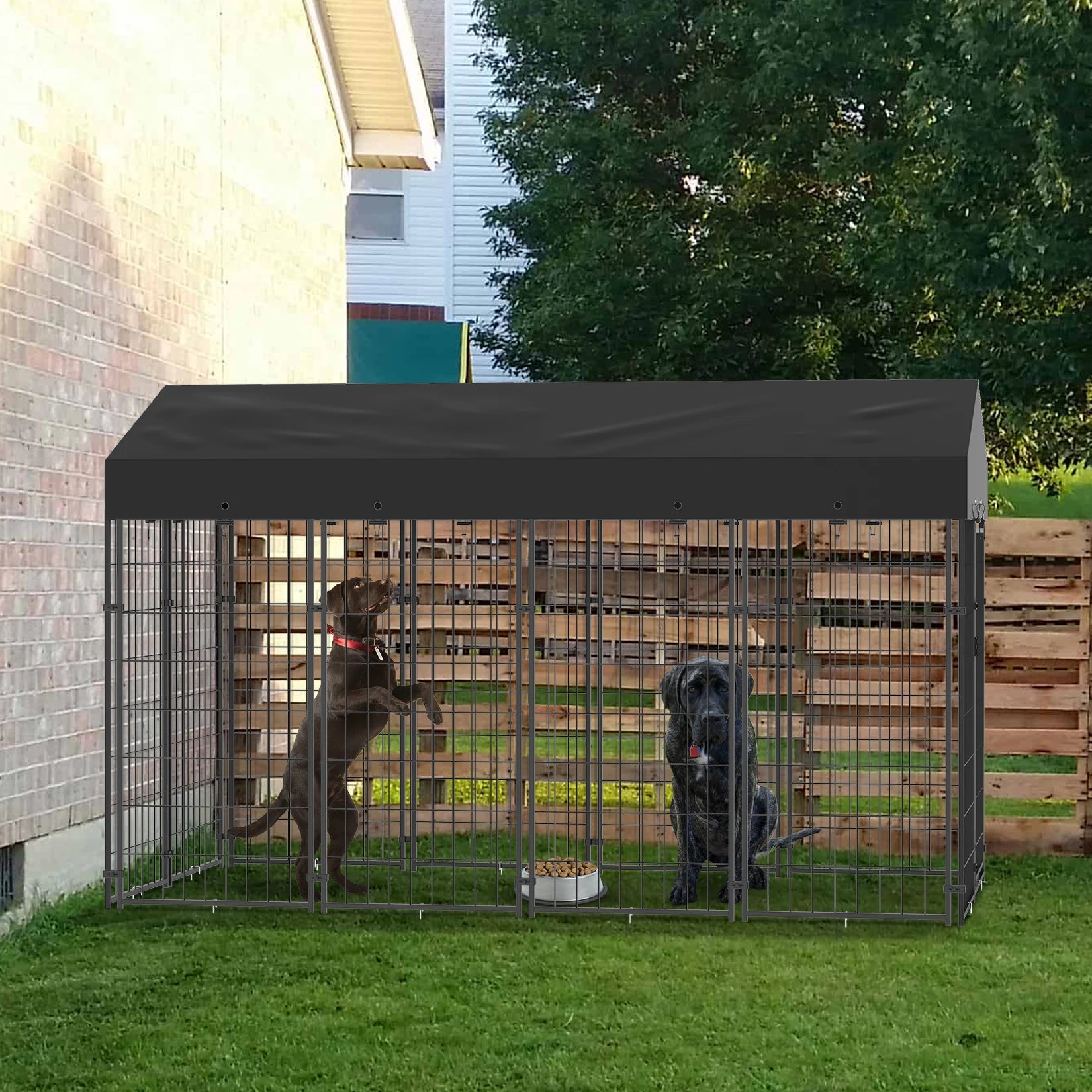 Large Dog Kennel Outdoor