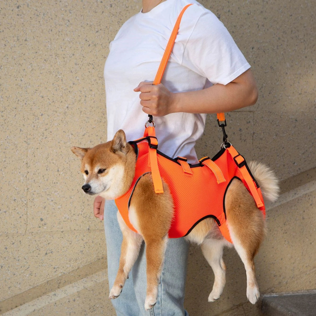 Dog Lift Harness,for Assistance