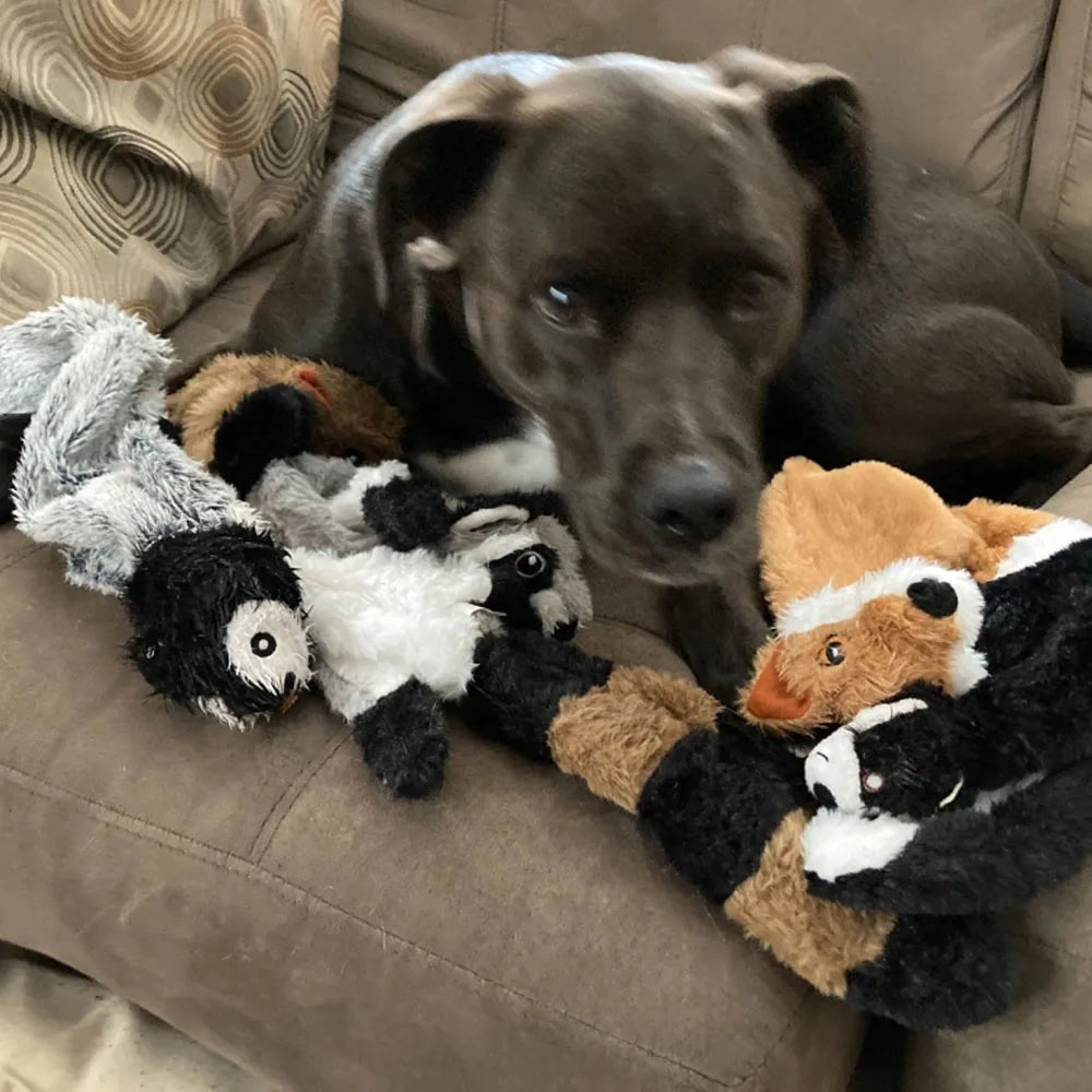 Animal  Dog Toy with Squeakers