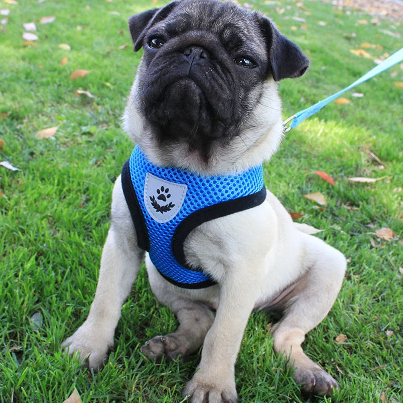 Pet Harness Vest with Lead Leash
