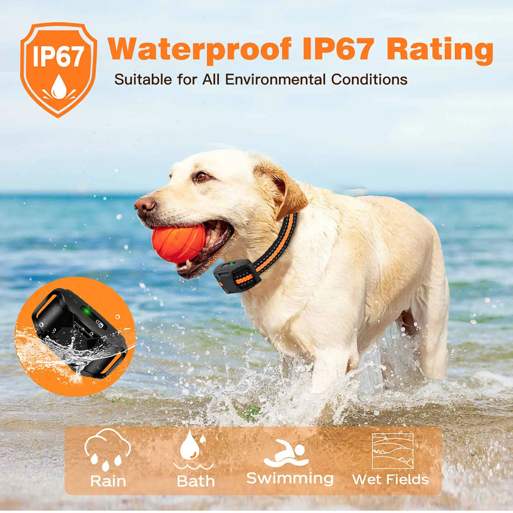 Remote Control Electric Dog Training Collar